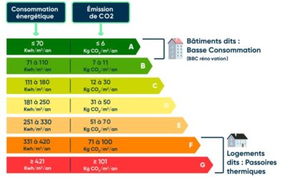 Les Différents Diagnostics pour l’Immobilier Professionnel